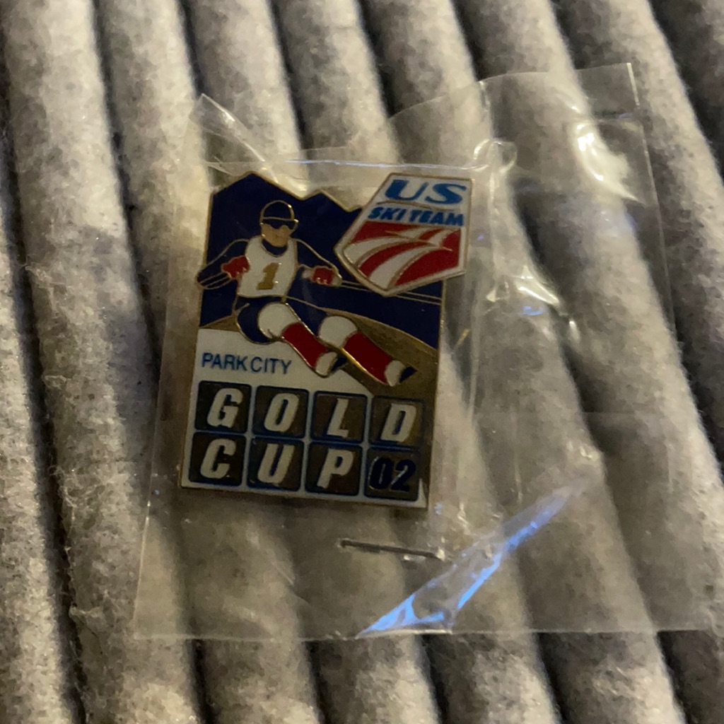 Us Ski Team Pin